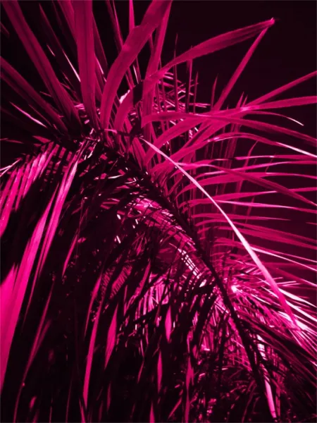 Pink Aesthetic Wallpaper - Free Pink Download