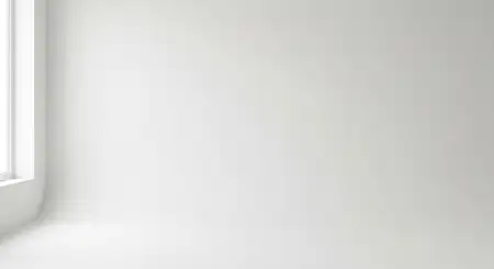 Free Plain White Background Hd Background Image Background Download