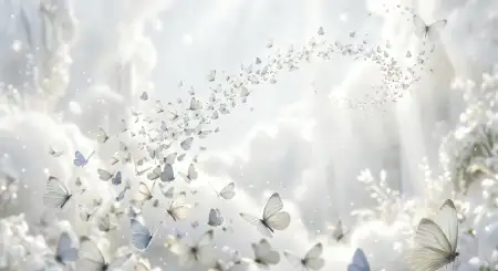 Plain White Background Wallpaper Free - Free Background Download