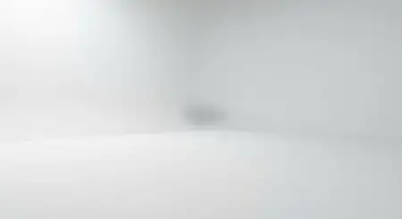 Plain White Background With Smooth Blur Shadow - Free Backgr Download