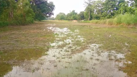 Rain Water harvesting in Agricultural Land Photoshop Editing images