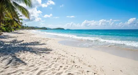 Free Realistic Beach Summer Background For Photo Editing Background Image Download
