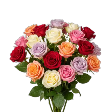 Rose Bouquet Png Colorful Roses - Free Rose Bouquet Png Download