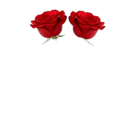 Rose Png Flower Art - Free Rose Png Download