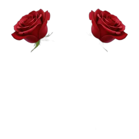 Rose Png Hand Drawn Style - Free Rose Png Download