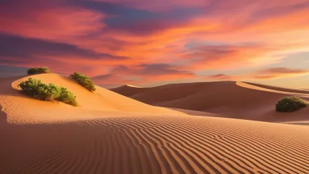 Serene Nature Background Photos For Posters - Free Nature Background Download