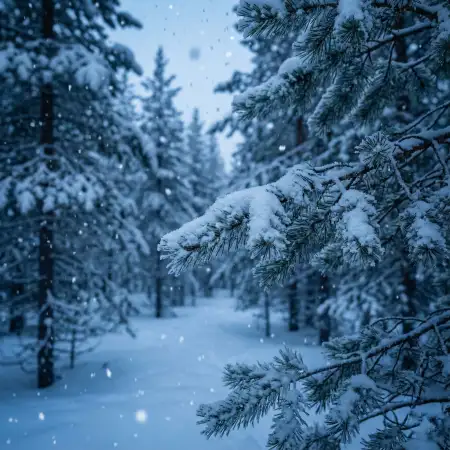 Snow Background Mountains - Free Snow Background Download