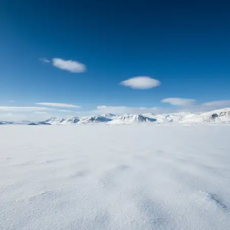 Free Snow Particles Background Images Background Download