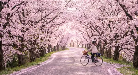 Spring Nature Hd Wallpaper Free Download - Free Nature Hd Wallpaper Download