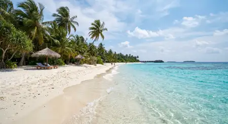 Free Summer Background With Coconut Trees And Sandy Beach Background Image Download