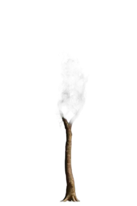 Free Tree Png For Digital Art PNG Image Download