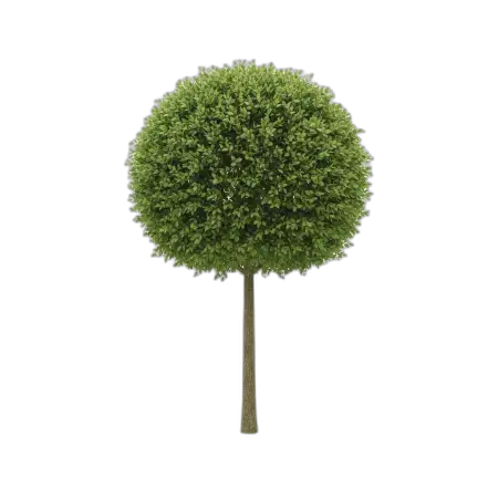 Free Tree Png Landscape Design PNG Image Download