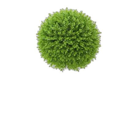 Free Tree Png Outdoor Design PNG Image Download