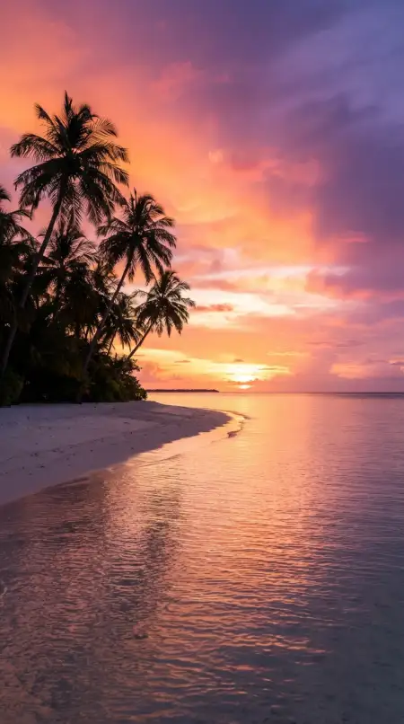 Tropical Beach Sunset Background - Free Tropical Summer Background Download