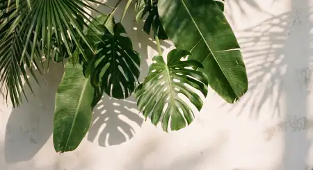 Free Tropical Leaves Summer Background For Product Mockup Background Image Download