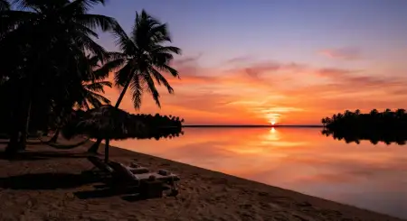 Tropical Sunrise Background - Free Tropical Summer Background Download