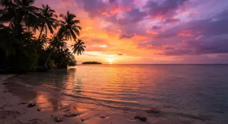 Tropical Sunset Background - Free Tropical Summer Background Download
