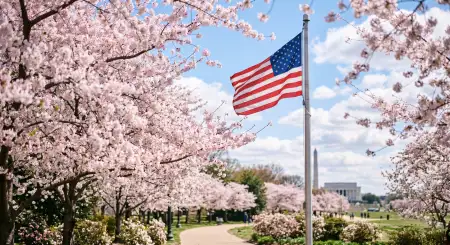 Free Usa Flag Images For Memorial Day Tribute Posts And Banners Background Image Download