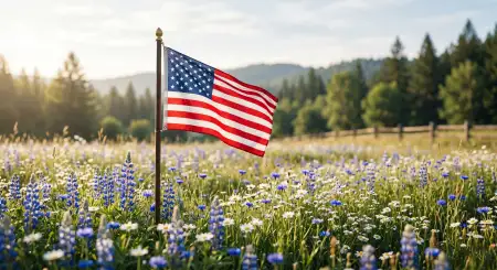 Free Usa Flag Pictures With Patriotic Military Appreciation Themes Background Image Download