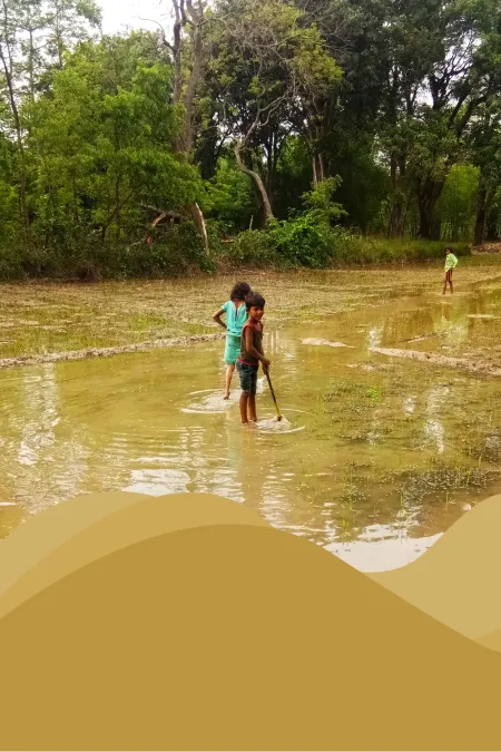 Village Life Agricalture Land And Play Indian Poor Boy In Rain Water Photoshop Editing Picture - Free Photo Download