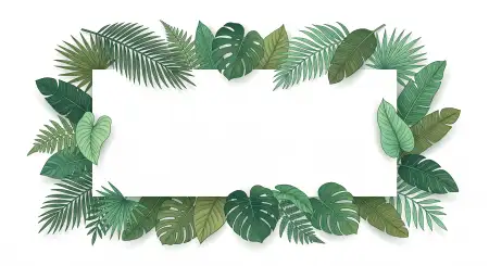 White Background Hd Ecommerce Images - Free White Background Image Download