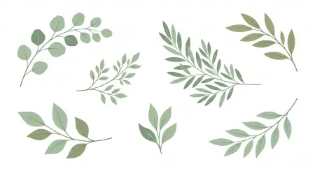 White Background Hd Images Free Download - Free White Background Image Download