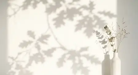 Free White Background Hd Light Shadow Texture Background Image Download