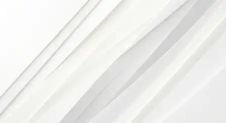 white background hd wallpaper for mobile and desktop use