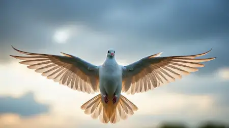 White Dove Flying In Blue Sky As Holy Spirit Symbol - Free White Dove Flying Download