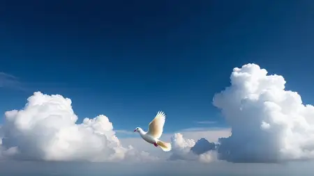 White Dove Flying In Blue Sky Photo Free - Free White Dove Flying Download