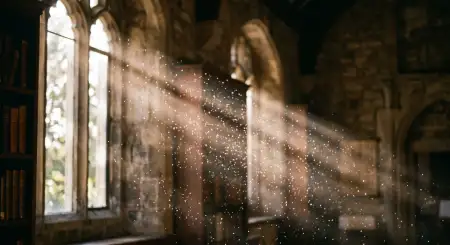 Free White Spotlight Effect Thumbnail Background Background Image Download