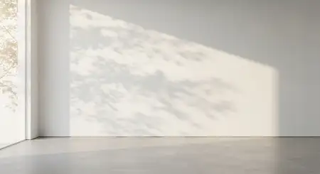 White Wall Background Soft Shadows - Free White Wall Background Download