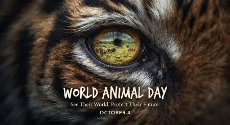 world animal day wildlife png transparent 2026 - World Animal Day 2026