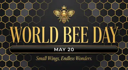 World Bee Day 2026 Modern Typography Background - Free World Bee Day 2026 Download