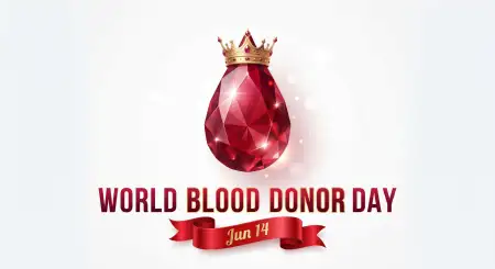 World Blood Donor Day 2026 Isolated Blood Drop Png - Free World Blood Donor Day 2026 Download