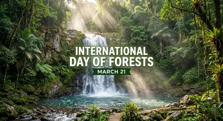 World Forest Day 2026 Theme And Slogan - Free International Day Of Forests Download