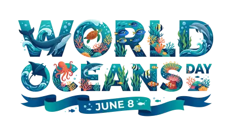 World Oceans Day Png Beach Cleanup Event Design - Free World Oceans Day Png Download
