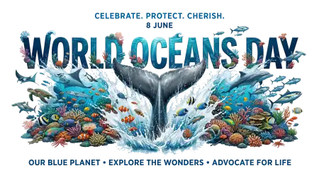 World Oceans Day Png Ocean Background Element - Free World Oceans Day Png Download