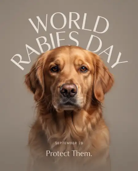 world rabies day 2026 poster ideas - World Rabies Day 2026 Campaign Poster