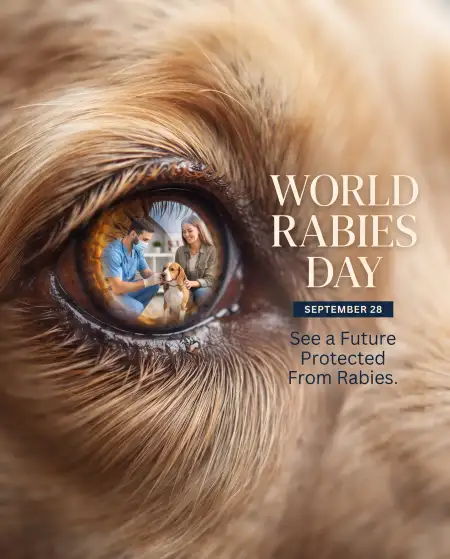 world rabies day 2026 theme images - World Rabies Day 2026 Campaign