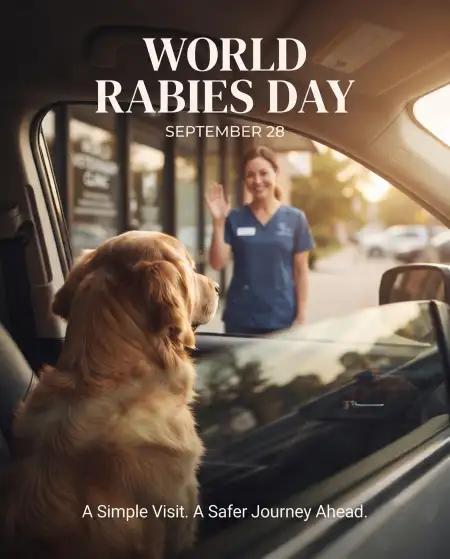 world rabies day dog bite awareness poster
