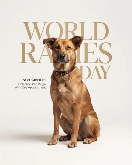 world rabies day september 28 2026