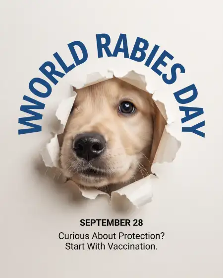 world rabies day short awareness quotes