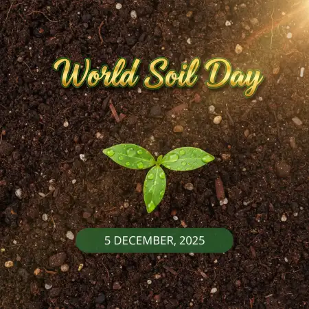 World Soil Day 2025 Essay Ideas And Writing Format - Free World Soil Day 2025 Download