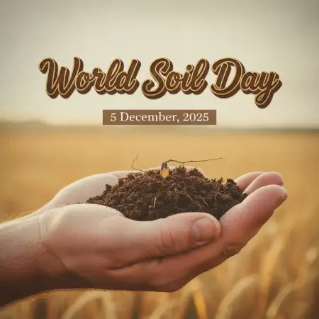World Soil Day 2025 Importance Of Healthy Soil - Free World Soil Day 2025 Download