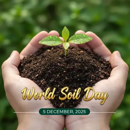 World Soil Day 2025 Teacher Speech For Assembly - Free World Soil Day 2025 Download