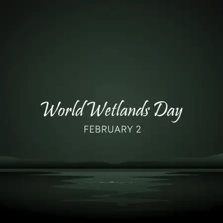 World Wetlands Day Background - Free World Wetlands Day Download