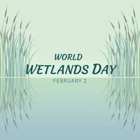World Wetlands Day Instagram Post - Free World Wetlands Day Download