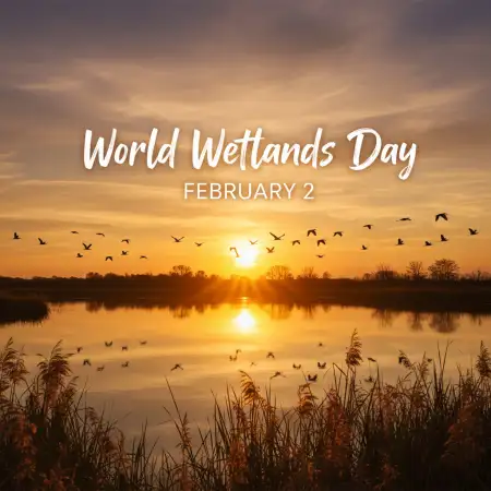 World Wetlands Day - Free World Wetlands Day Download