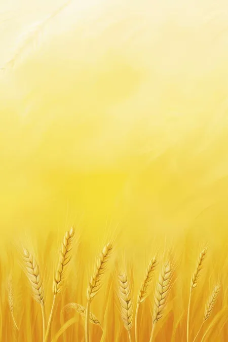 Yellow And White Background Hd Combo - Free Background Download